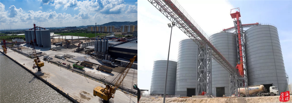 组织机构(图4) 组织机构(图4)